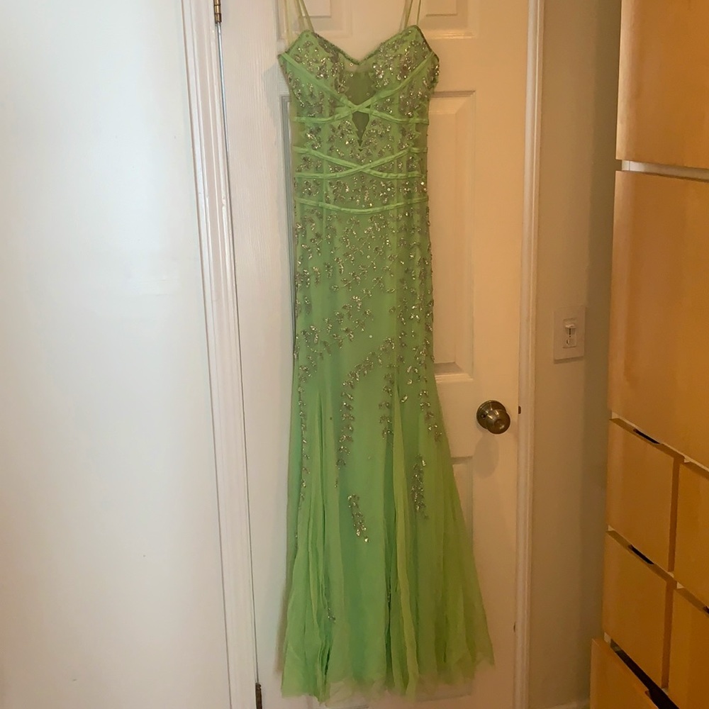 Cashe size small figure fitting gown